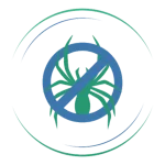 Dedetização de aranhas - Imuni bahia