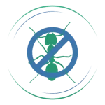 Dedetização de formigas - Imuni Bahia