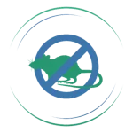 Dedetização de ratos - Imuni Bahia