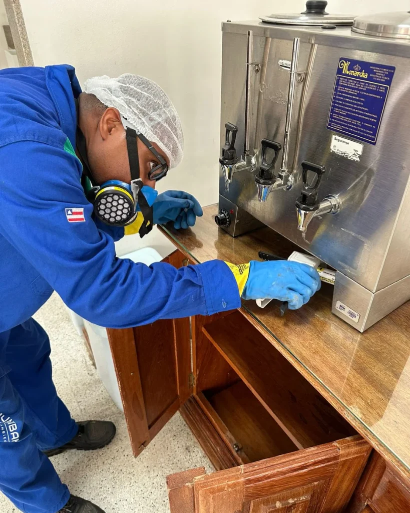 Dedetização - Salvador - ImuniBahia - dedetizadora em salvador-2