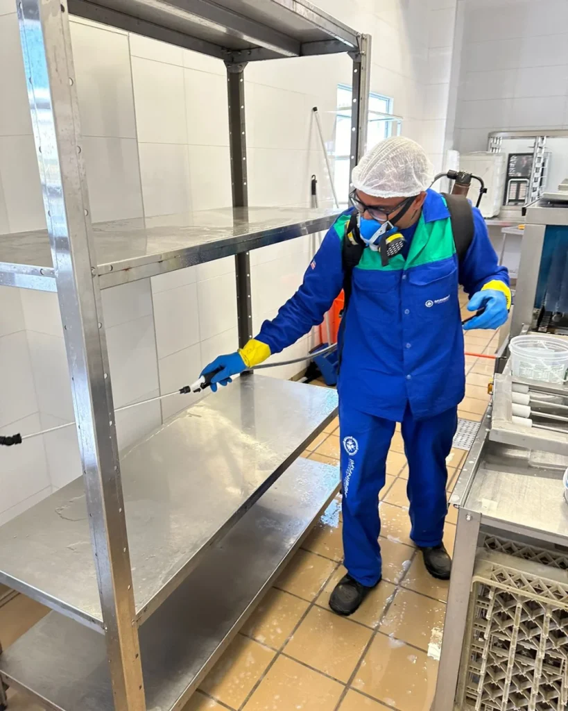 Dedetização - Salvador - ImuniBahia - dedetizadora em salvador-2