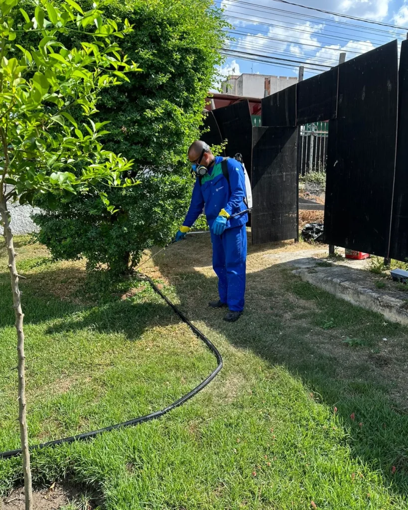 Dedetização - Salvador - ImuniBahia - dedetizadora em salvador-2