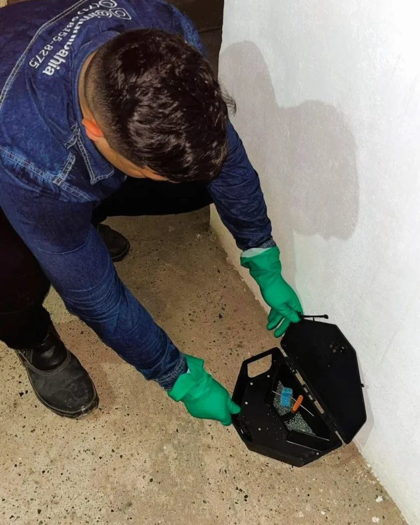 Dedetização - Salvador - ImuniBahia - dedetizadora em salvador-2